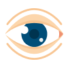 Eye Related Issues Image